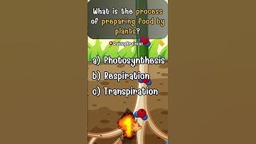 Can You Pass This SCIENCE Quiz? #shorts #quiz #sciencequiz #scienceforkids #sciencechallenge