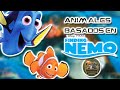 Animales que aparecen en buscando a nemo - CHOCA TU ALETA FELIZ