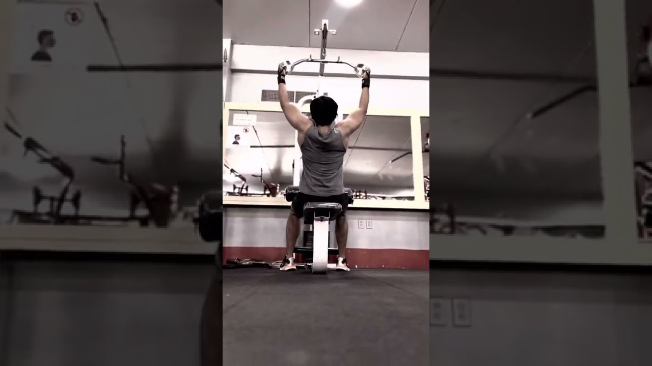 Back Workout Routine