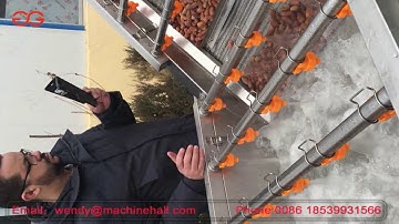 Dates Washing And Drying Line Dates Manufacturing Process