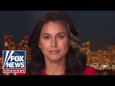 Tulsi Gabbard signs 'statement of concern' over alleged Syrian chemical attack