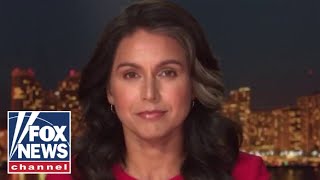 Tulsi Gabbard signs 'statement of concern' over alleged Syrian chemical attack