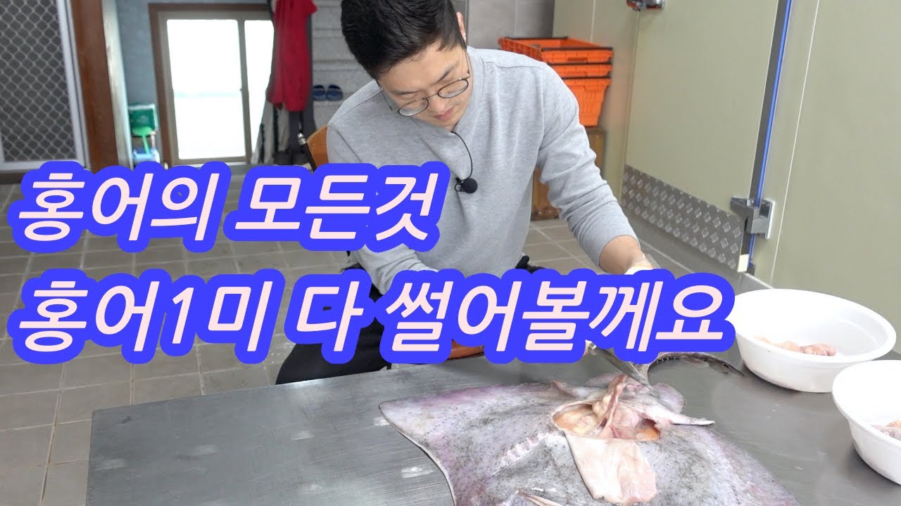 홍어1미 다 썰어보겠습니다. 내장제거 홍어애 홍어코 홍어날개 홍어몸통 전부 다 작업합니다. 누구든 쉽게 할 수 있습니다.
