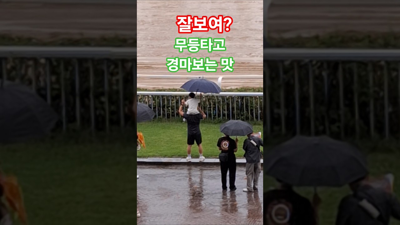 아이와 경마장오면 하고싶은일 #경마 #말 #달려라말 #shorts