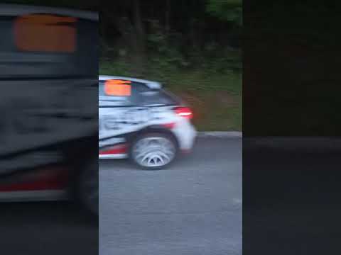 INA Delta Rally