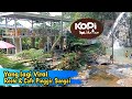 Viral..Cafe & Resto Pinggir Sungai || kopi tepi hutan curug aren || Curug Bidadari