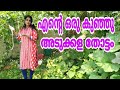    vegetable gardening kitchen garden tour malayalam aagney and moms world