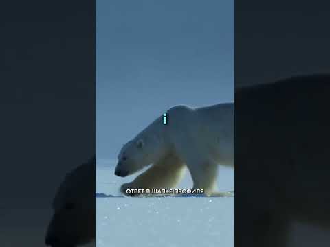 Студенты Гарварда не