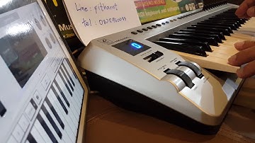 ขาย Midi controller Evolution MK249C2