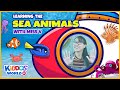 Underwater Adventure Quiz
