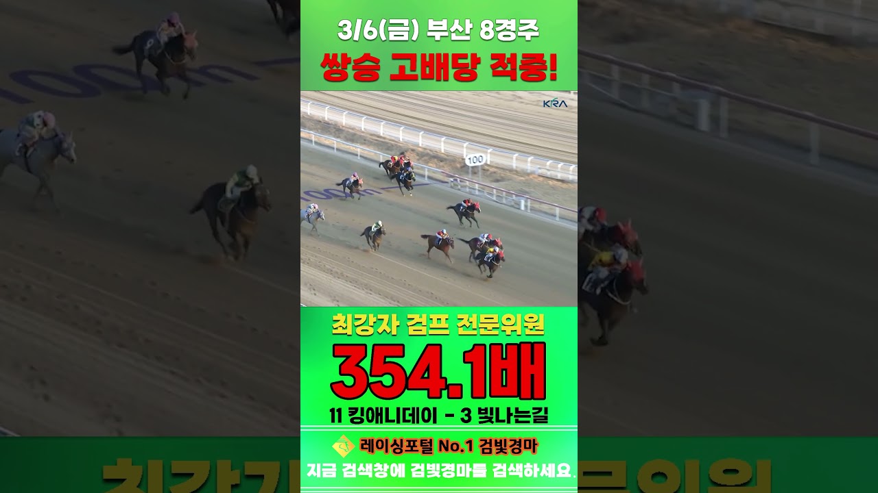 [부산 경마] 3월 6일 금요 8경주 최강자 검프 전문위원 쌍승 고배당 적중 #경마 #horse #하이라이트 #automobile #한국마사회 #뉴스 #riding #게임