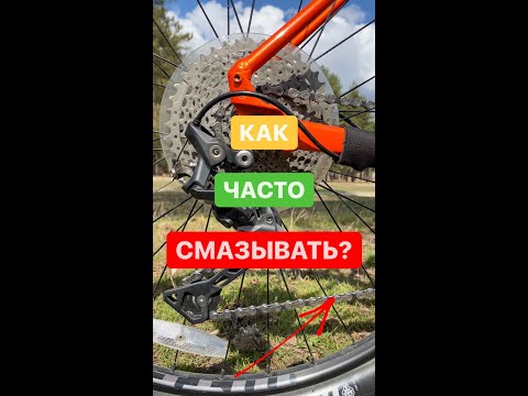 Смазка цепи велосипеда. Какую смазку для цепи велосипеда выбрать?