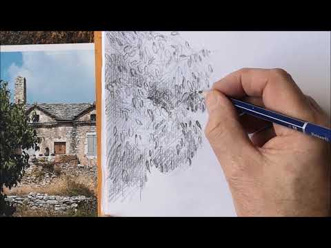 Vidéo: Comment Dessiner Un Arbre Du Bout Des Doigts