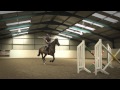 Behind The Scenes of Showjumping - Excelling Under Pressure