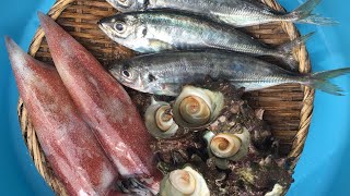 お得！美味しいセット！