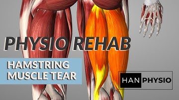 Progression of hamstring bridge variations