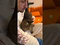 motive kedi seviyor #motive #shorts