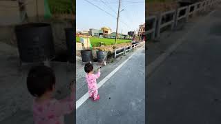 1100324鼎赫三寶～小鳥風箏3