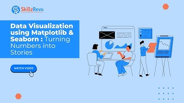 🔍 Data Visualization with Matplotlib & Seaborn | Turning Numbers into Stories