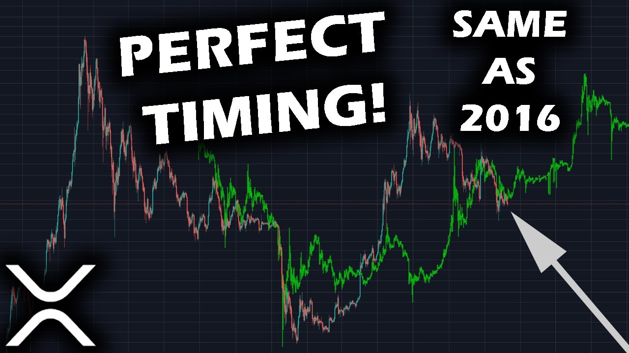 PERFECT TIMING Crypto Market Is EXACTLY Where It Should Be for Bitcoin and Ripple XRP YouTube