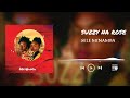 Sele Minamba Suzy Na Rose Official Singeli Audio