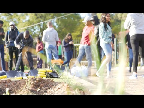 Global Volunteer Day