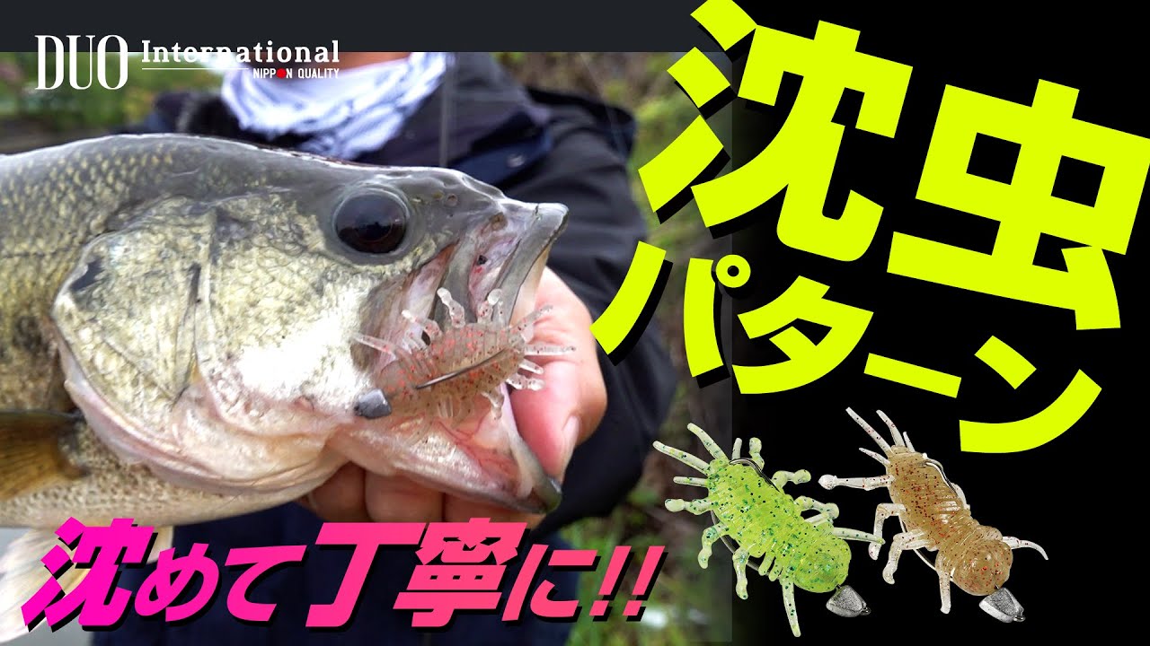 Bass Fishing] The sinking worm pattern was the best in the Gosan