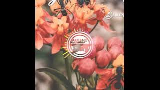 Jang Tahan Sa - Kapthenpurek (Lirik Video)