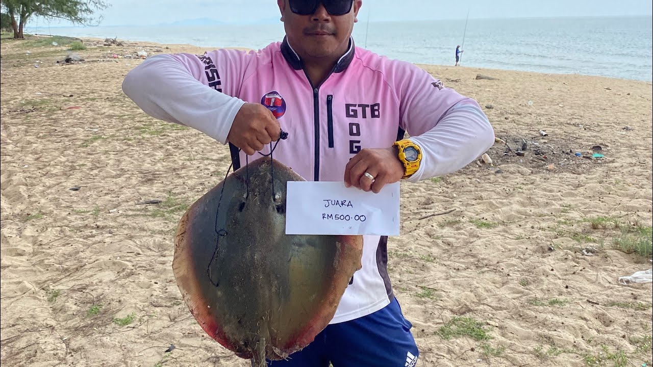 Juara ikan pari 4kg