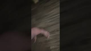 Oops, I Dropped My Slime