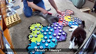 Todd Wants A Combing For Himself And A Brushing For Henry