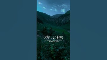 #قرآن #تلاوة #خشوع #قرآن_كريم #تلاوة_خاشعة #ذكر_الله #quran #راحة_القلب #شورتس #العفاسي