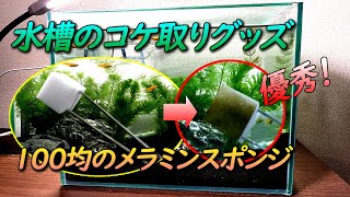 水槽のコケ取りは100均のメラミンスポンジで簡単に除去できる 注意点もあり Youtube