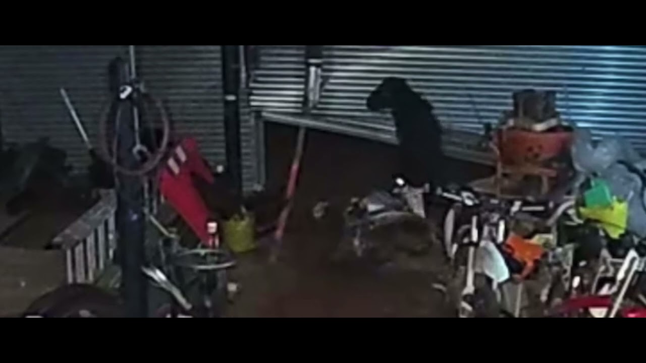 Thief caught in the act - YouTube