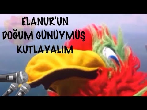 İyi ki Doğdun Elanur 2. Komik Doğum Günü Mesajı