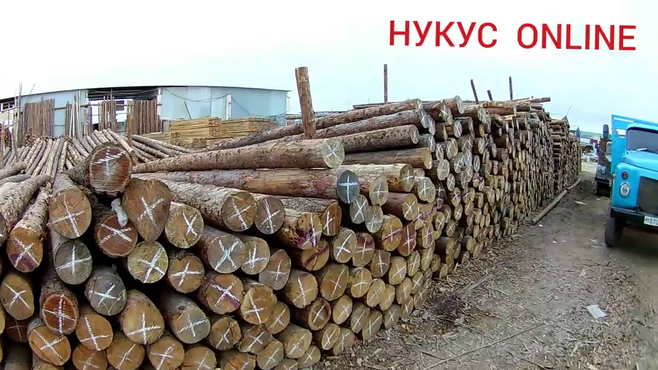Нукус машин базар