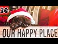 SHOULD WE KEEP BISCUIT?! - VLOGMAS