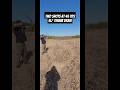 Shooting 45 yds w/ Turkish Horse Bow