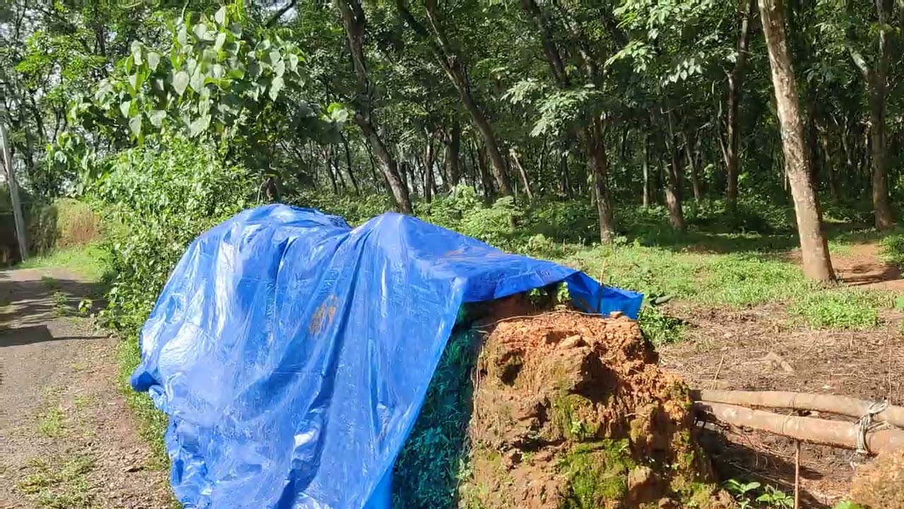 8.75 Acre's Land for Sale in Ernakulam | Very Urgent Sale