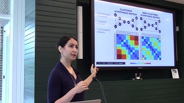 Ida Momennejad MIND Talk "Thinking in Graphs: Social-temporal Networks & Collective Memory"
