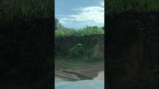 Arroyo de San Jose Alburquerque