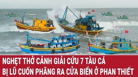 Nghẹt thở cảnh giải cứu 7 tàu cá bị lũ cuốn phăng ra cửa biển ở Phan Thiết