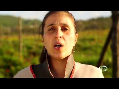 ფოლკლორული ანსამბლი „ზედაშე“