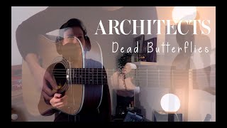 Architects - Dead Butterflies | Acoustic Cover