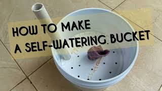 MAKE A SELFWATERING BUCKET/AUTOMATIC WATERING SYSTEM FOR PLANTS