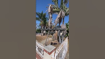 Rentals over shiny objects