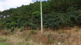 Fahrt Durch Das Central Highland Vietnam