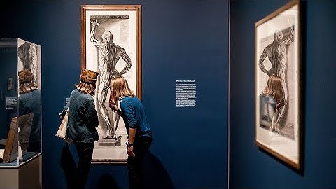 What was the Enlightenment?— An Introduction to 