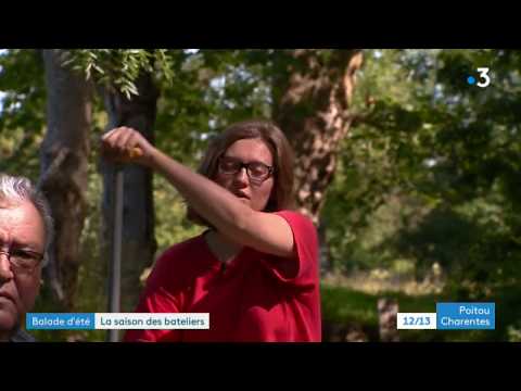 Balade d'été - pigouiller dans le Marais poitevin