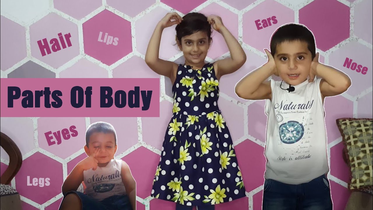 Parts Of Body in Urdu\English Head , Shoulder, knees and toes My Fam Bam YouTube